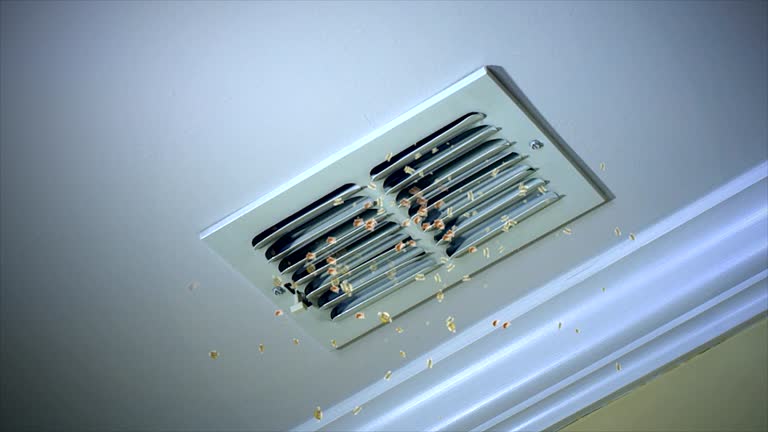 Best HVAC Maintenance and Cleaning  in Iola, WI