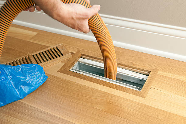 Best Air Duct Mold Removal  in Iola, WI